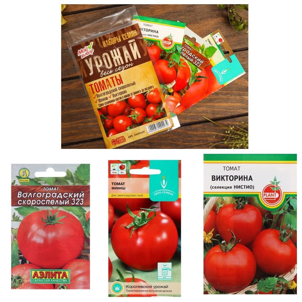 Помидоры волгоградские описание сорта фото отзывы садоводов Томаты Симплекс Tomato seeds kit - купить по выгодным ценам в интернет-магазине 