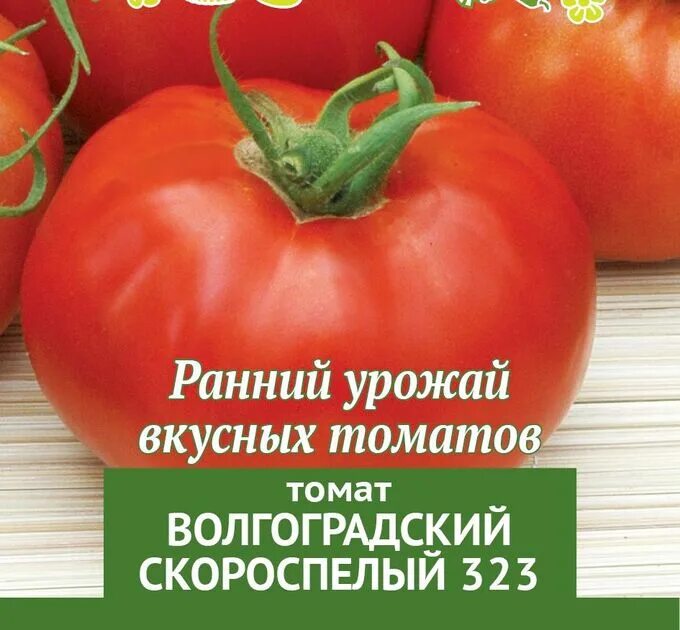 Помидоры волгоградский скороспелый описание сорта фото Семена Томат скороспелый "Волгоградский" Томаты. Семена овощей