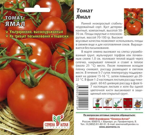 Помидоры ямал описание сорта фото отзывы Томат Ямал/Семена Алтая/цп 20 шт. томаты. Семена овощей