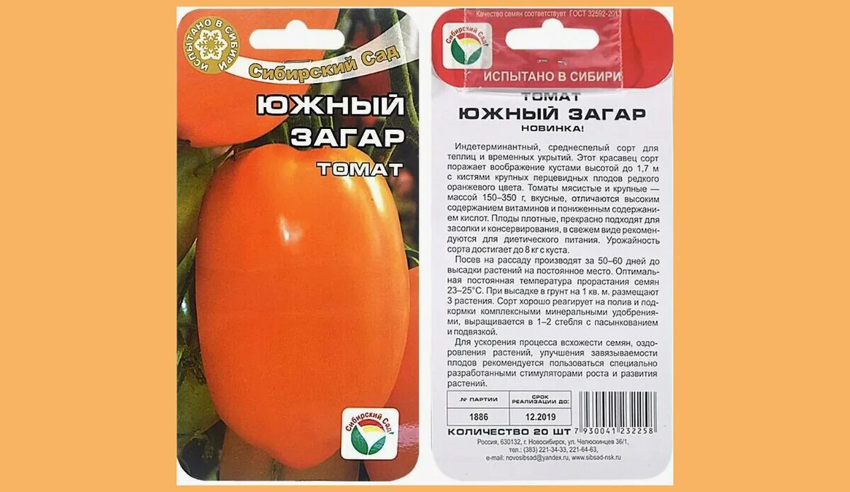 Помидоры южный загар описание фото 10 вкусных, урожайных, крупноплодных оранжевых и желтых томатов для теплицы Сад,