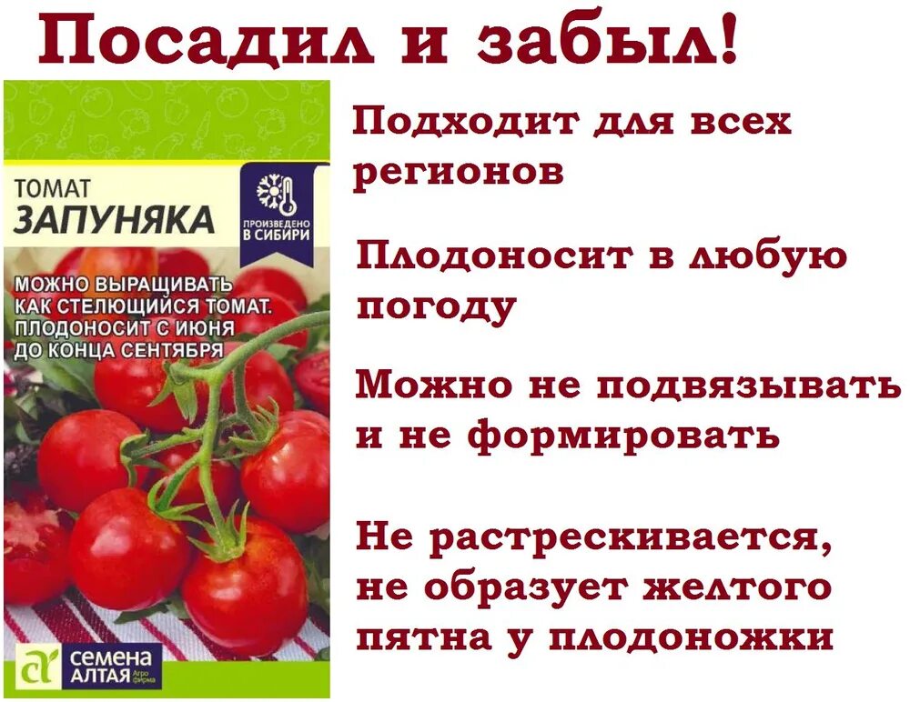 Помидоры запуняка описание сорта фото отзывы Томаты Семена Алтая Томат Запуняка СА_1 - купить по выгодным ценам в интернет-ма