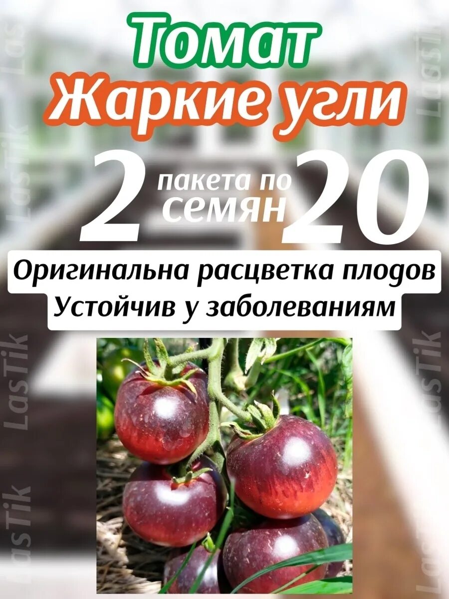 Помидоры жаркие угли фото Томат Жаркие угли 2 пакета Сибирский сад 78416137 купить за 256 ₽ в интернет-маг