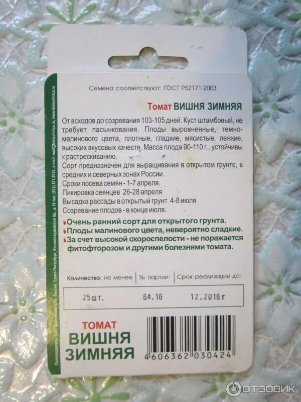 Помидоры зимняя вишня описание сорта фото Отзыв о Семена томата Биотехника "Вишня зимняя" Выросли и даже некоторые покрасн