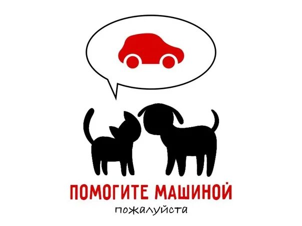 Помоги животным картинки SPb ! VERY NEED AUTOVOLUNTEERS HELP ! HELP GET TO THE REST OF ! Friends, oversta