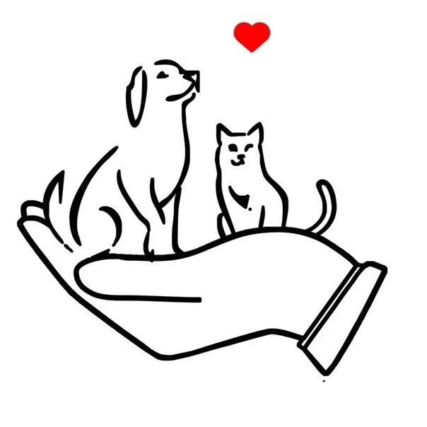 Помощь бездомным животным картинки In the basement under the balcony sits a Siamese cat, sick eyes, meowing hard, w