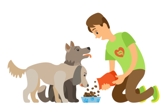 Помощь животным картинки для детей Feeding Homeless Vector Art PNG Images Free Download On Pngtree