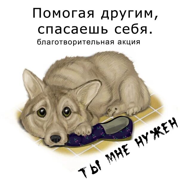 Поможем животным вместе картинки There's no gas in the shelter for tomorrow, no waste, no vacation, no food to co