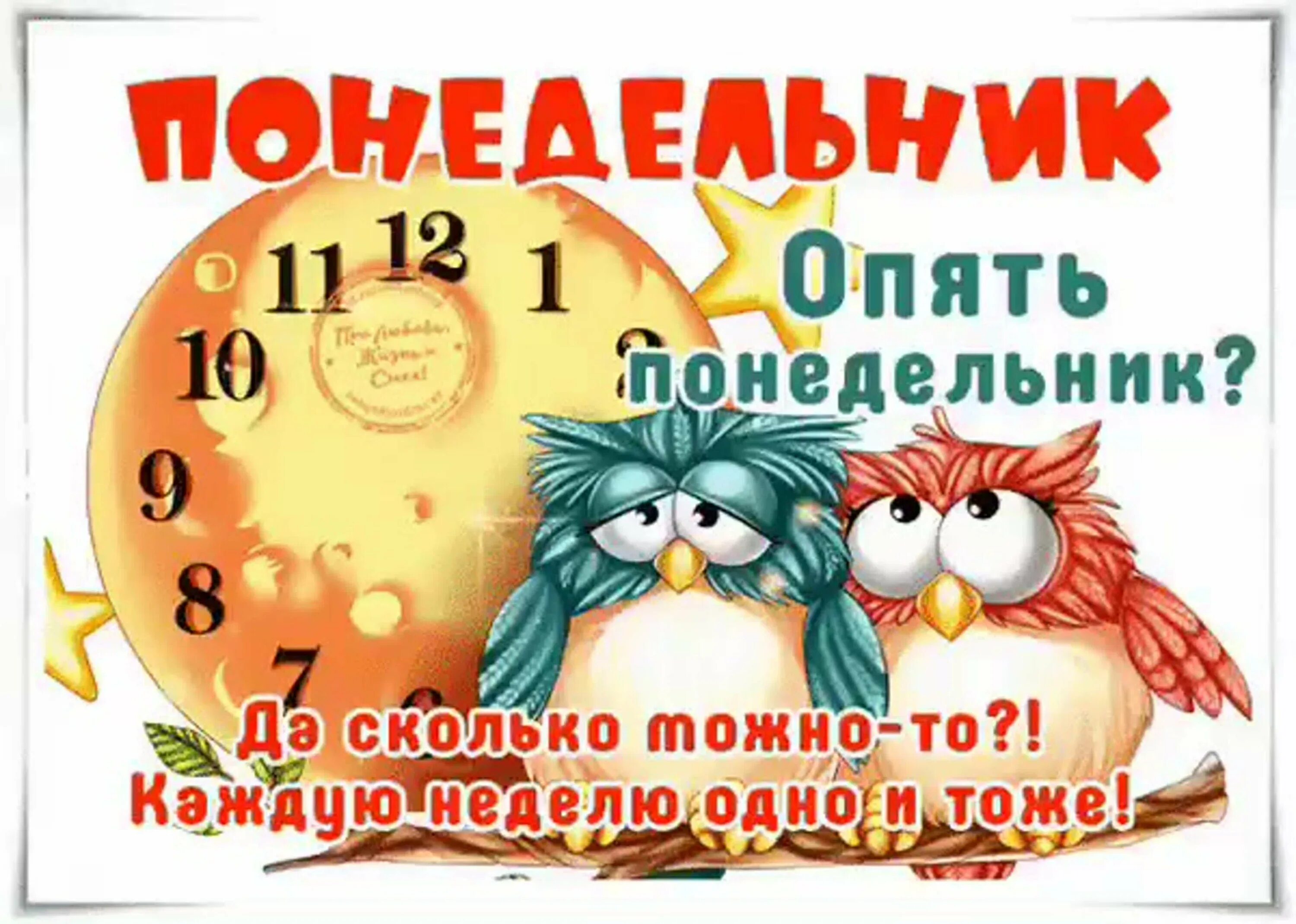 Понедельник день тяжелый картинки прикольные доброе утро И сколько ждать неделю: найдено 78 изображений