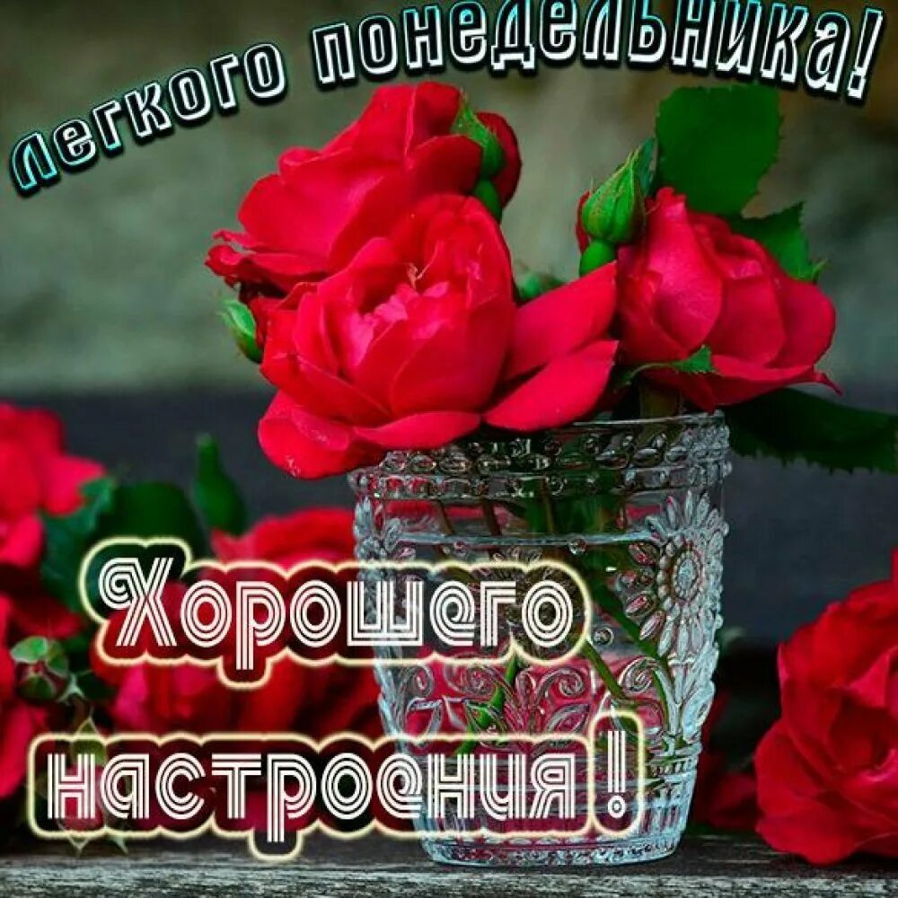Понедельник картинки красивые с пожеланиями Пожелания летнего понедельника - 23 фото
