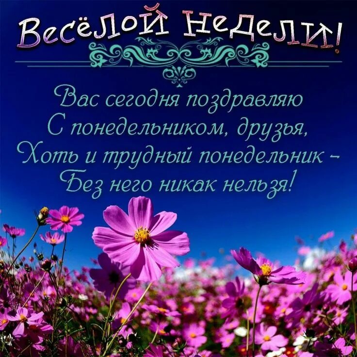 Понедельник картинки красивые с пожеланиями Пин на доске Доброе утро Понедельники, Картинки, Открытки