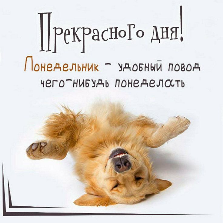 Понедельник картинки красивые с пожеланиями открытки