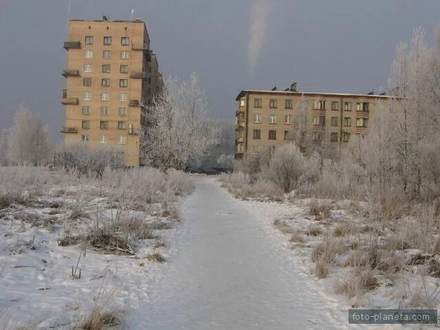 Понтонный поселок фото Морозный денёк Понтонный (Колпинский район) Фотопланета