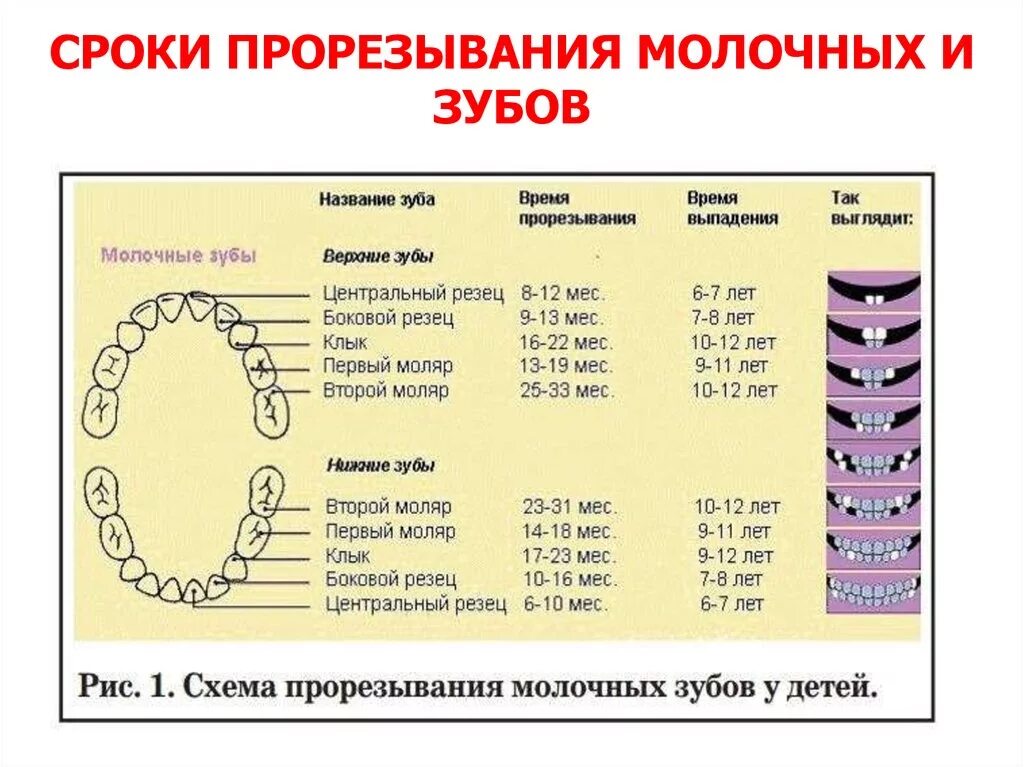 Когда у ребенка лезут зубы какие симптомы