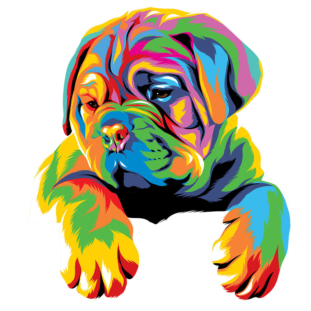 Поп арт картинки животных pop art animales - Búsqueda de Google Canvas prints, Custom canvas prints, Dog w