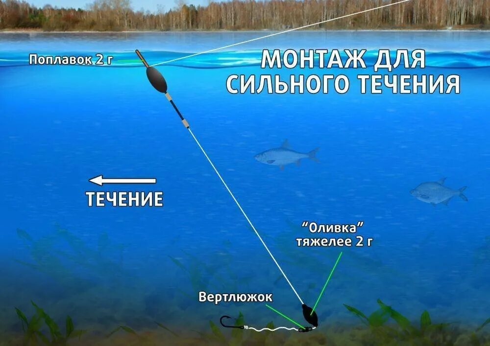 Поплавковая оснастка Как собрать оснастку с плоским поплавком для ловли на течении Рыбалка Лучший отд