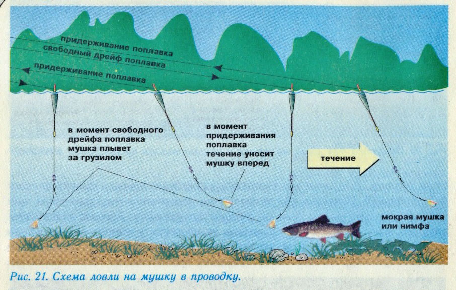 Поплавочная оснастка на форель Особенности ловли форели в разное время года - Рыболовные снасти "у Кеса"