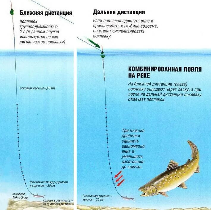 Поплавочная оснастка на форель Ловля форели на поплавок и оснастка снасти с нуля