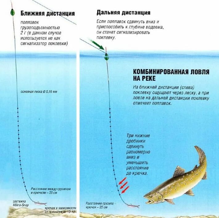 Поплавочная оснастка на форель на платнике Як ловити форель на платниках восени: пошук, снасті, на що ловити - Риболовля