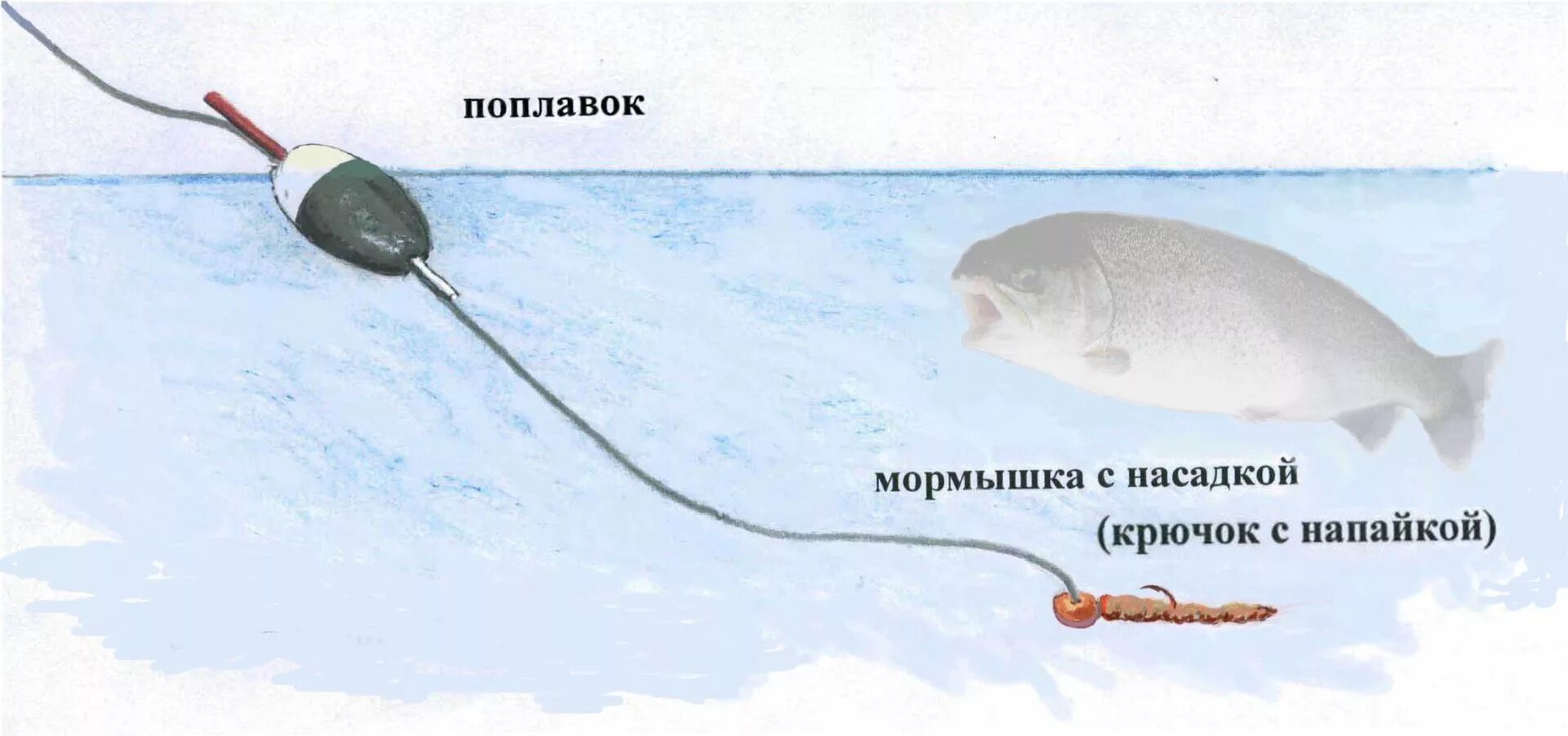 Поплавочная оснастка на форель на платнике Виды оснасток для горной речки Амурский Берег - территория, свободная для творче