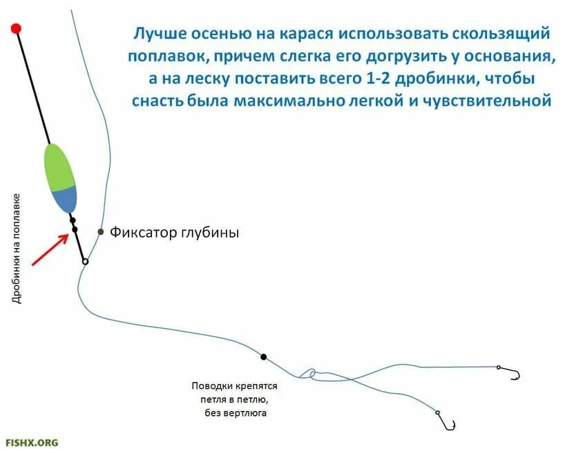 Поплавочная оснастка на карася Карась осенью: снасть, процесс и особенности ловли