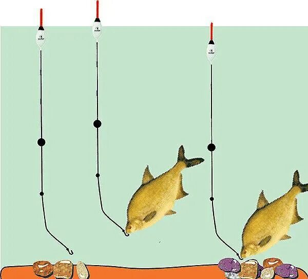 Поплавочная оснастка на карася с двумя крючками Ловля красноперки на поплавочную удочку и фидер
