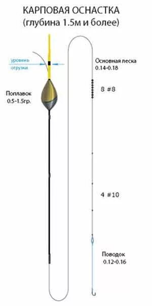 Поплавочная оснастка на карпа Матчевая оснастка для ловли карпа - Все о рыбалке