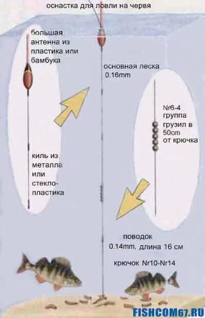 Поплавочная оснастка на окуня Оснастка поплавочной удочки для разных условий ловли