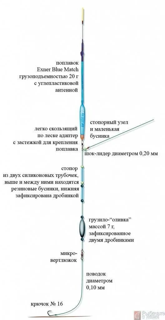 Поплавочная оснастка на плотву Картинки ПЛОТВА ЛЕТОМ НА ПОПЛАВОЧНУЮ УДОЧКУ