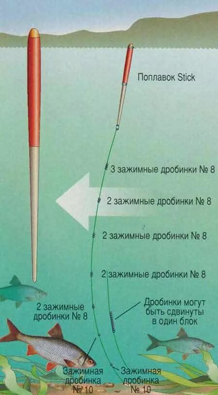 Поплавочная оснастка на плотву Ловля крупной плотвы: прикормка и наживка, снасти