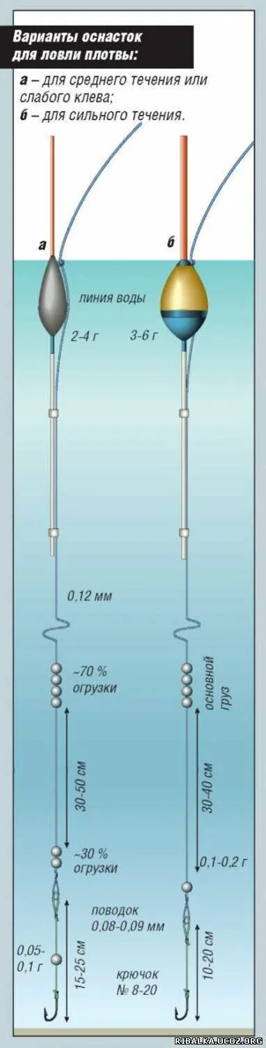 Поплавочная оснастка на плотву Картинки ПЛОТВА ЛЕТОМ НА ПОПЛАВОЧНУЮ УДОЧКУ