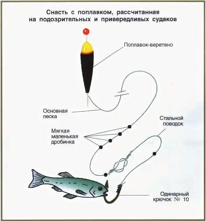 Поплавочная оснастка на щуку Определяющие факторы, от которых зависит ловля судака на спиннинг Udim.ru (Удим.