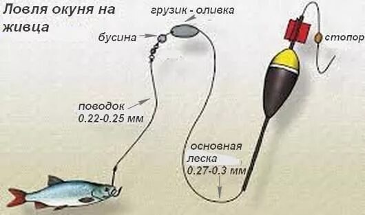 Поплавочная оснастка на щуку на живца Картинки по запросу как самому сделать поплавок для живцовой поплавочной удочки 