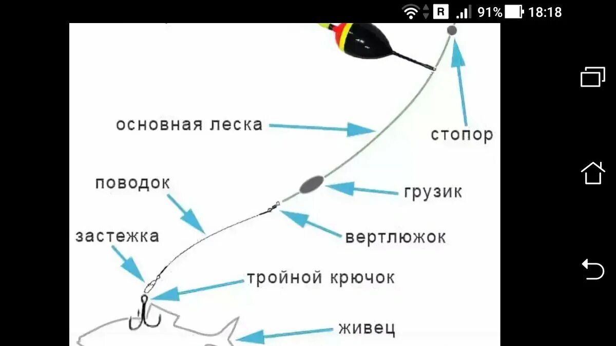 Поплавочная оснастка на щуку на живца Простая живцовая снасть с поплавком, снасть тройным крючком Фото заметки из моей