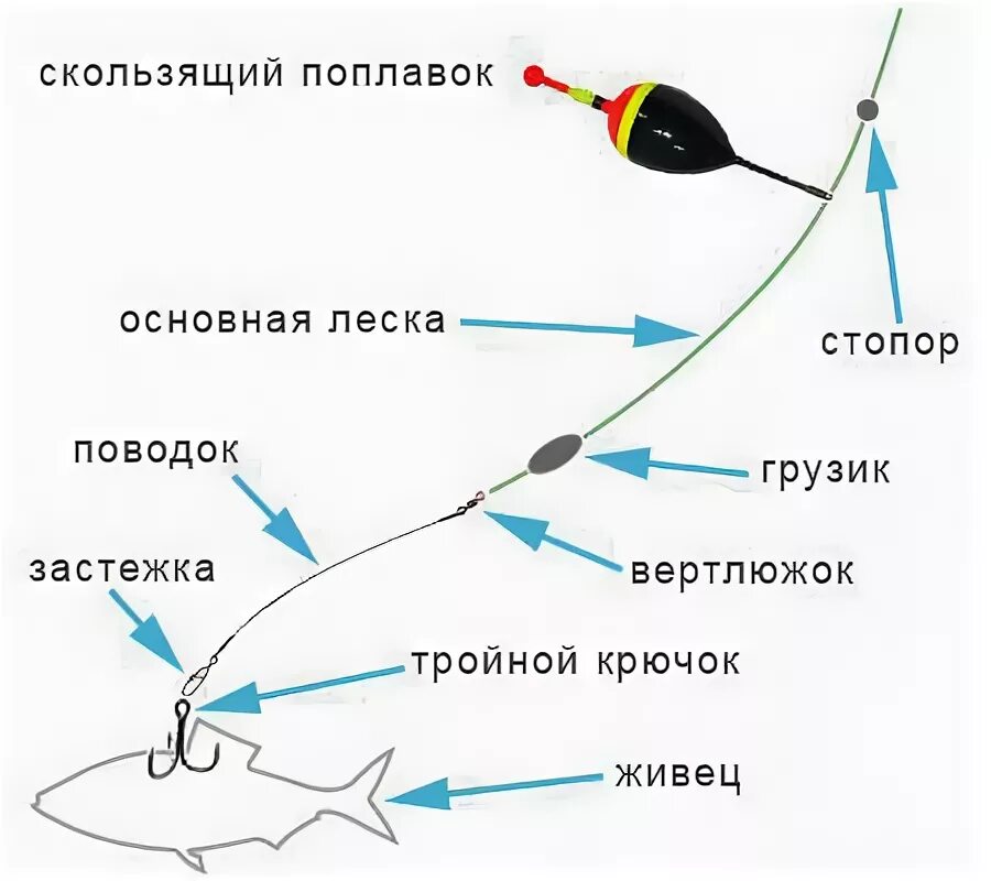 Поплавочная оснастка на щуку на живца Правильная оснастка - залог успеха. Как подготовить спиннинг к ловле хищника?, п