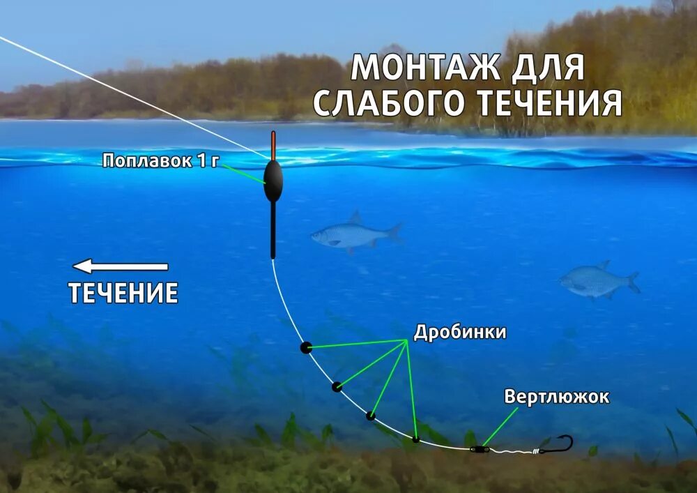 Поплавочная оснастка на течении Белоглазка - Спортивное рыболовство