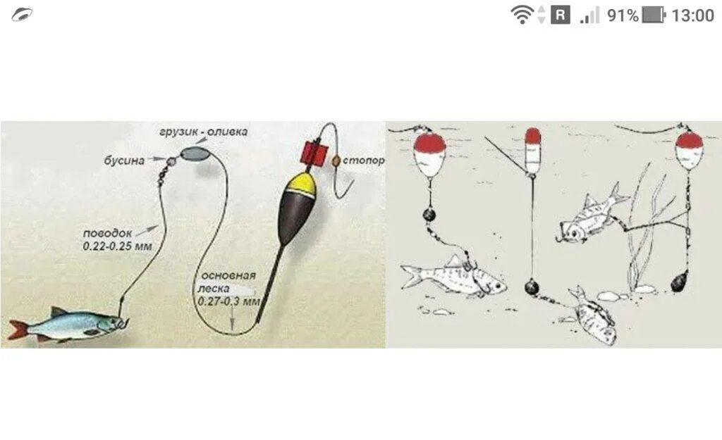 Поплавочная снасть на щуку с живцом оснастка Ловля щуки на живца: как ловить с берега, поплавочная удочка
