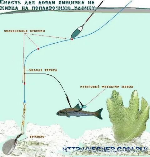 Поплавочная снасть на щуку с живцом оснастка Ловля щуки на поплавочную удочку и подготовка оснастки