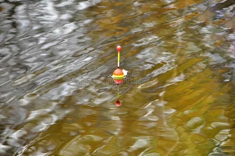 Поплавок в воде фото Fishing Float Floating in the River Stock Image - Image of freshness, drop: 5848