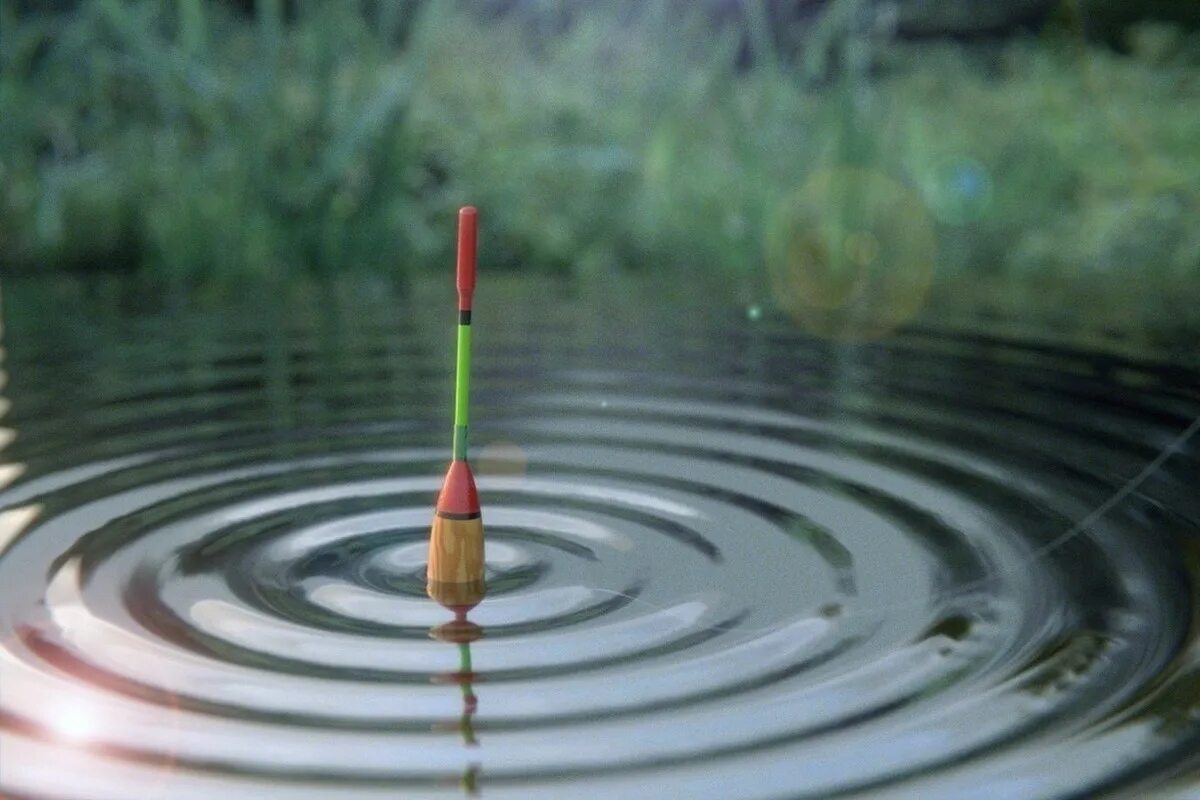 Поплавок в воде фото Архангельские рыболовы стали лучшими в региональных соревнованиях - МК Архангель