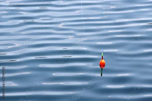 Поплавок в воде фото 釣 り 浮 き 水 面 фотография Stock Adobe Stock