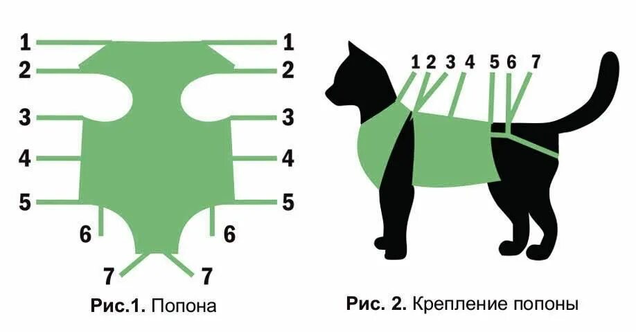 Попона для кошки фото Характеристики Попона послеоперационная для кошек, подробное описание товара. Ин