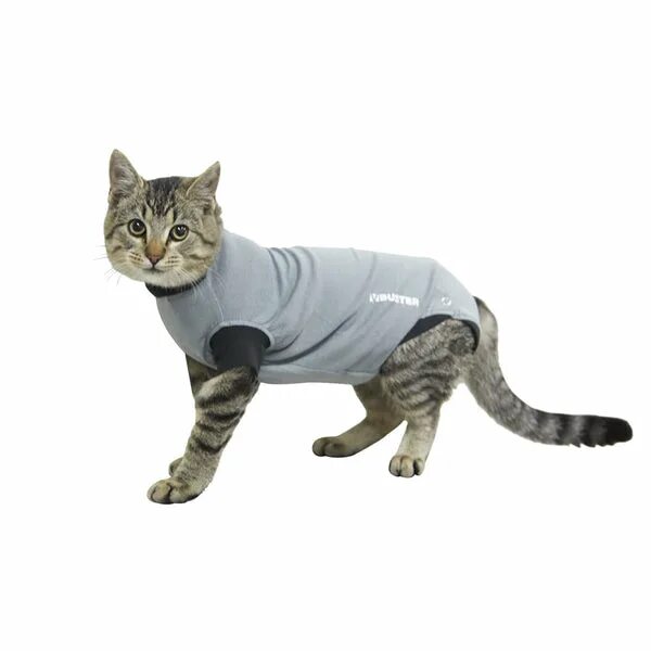 Попона для кошки фото Buster Body Suit for Cats - vet-n-pet DIRECT