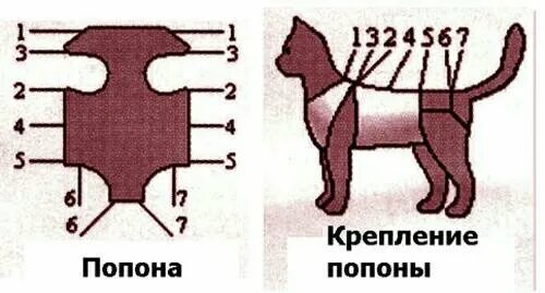 Попона для кошки своими руками выкройки Попоны послеоперационные - купить в Астрахани, цена 30 руб., продано 10 декабря 