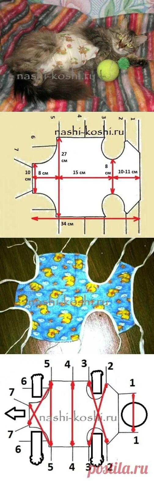 Попона для кошки своими руками выкройки Послеоперационная попона (бандаж) для кошки - выкройка, как надеть Вс � Leto - э