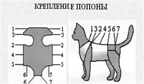 Попона для кошки своими руками выкройки Как сшить попону для кошки после стерилизации: выкройка одежды своими руками