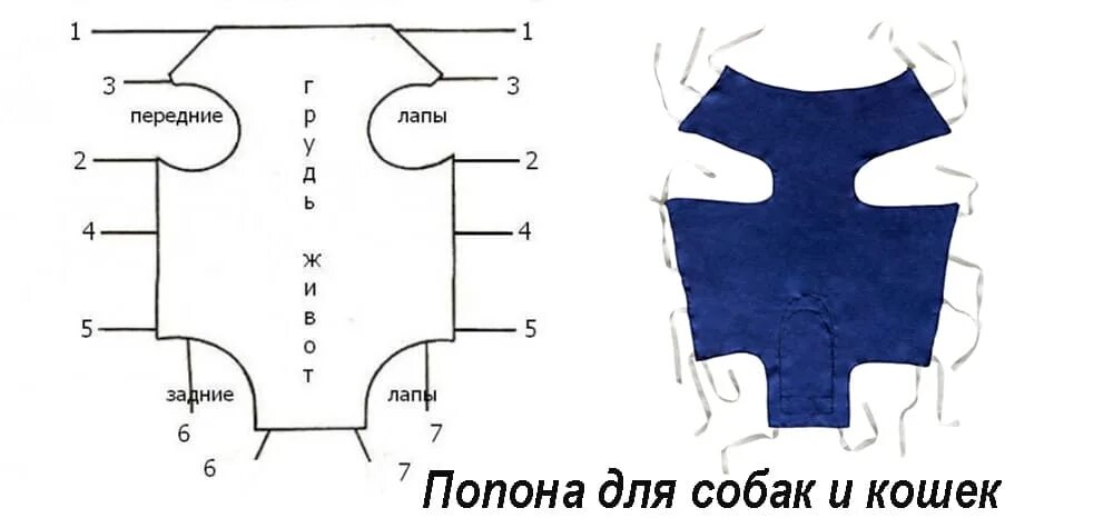 Попона для кошки выкройка Кастрация кота, кошек: в каком возрасте кастрируют, стерилизуют британских котов