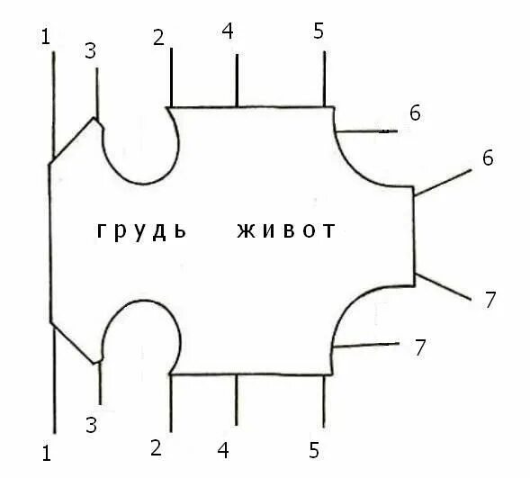 Попона для собак выкройка своими руками Resultado de imagen para выкройка для собаки