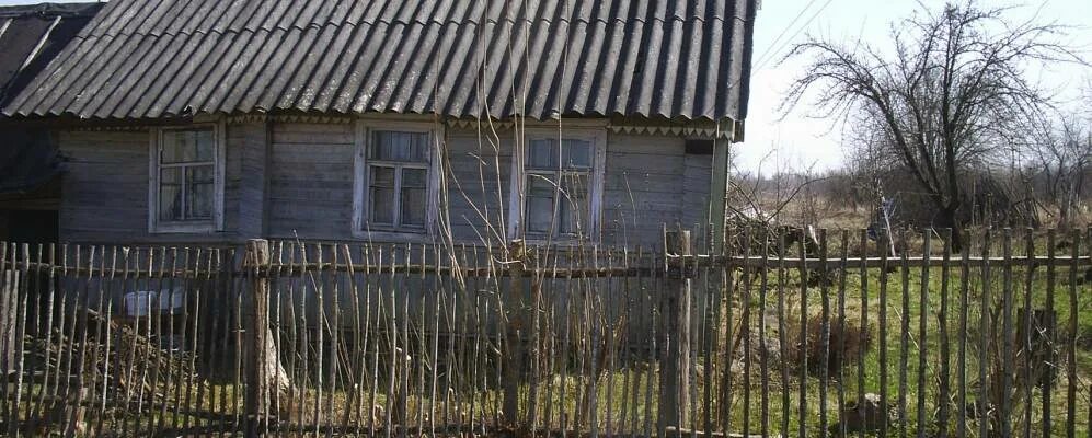 Порховский район деревня логовино википедия фото Деревня Турово Порховского района Псковской области