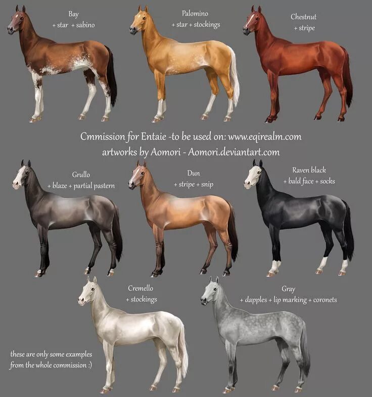 Породы лошадей список с фото akhel teke horses Akhal teke horses, Horses, Beautiful horses