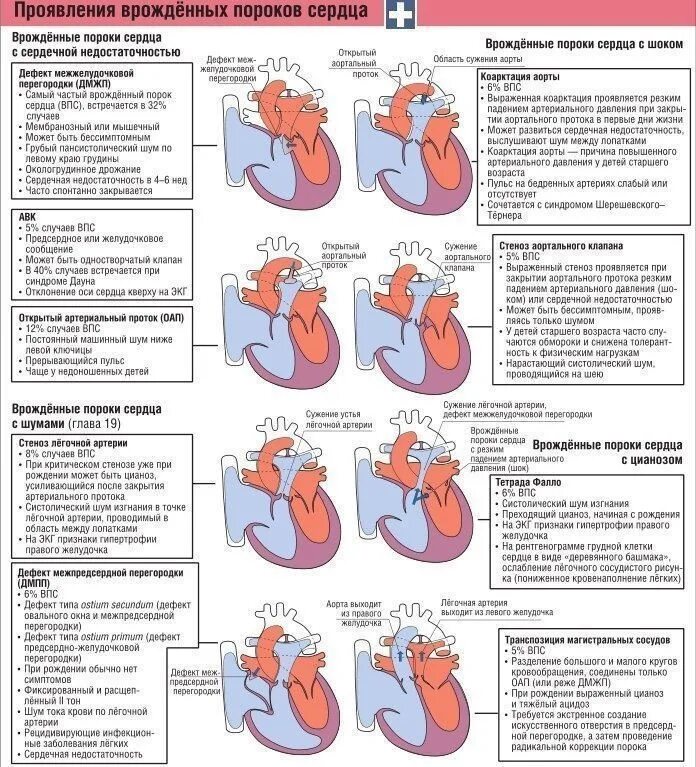 Порок сердца фото К порокам сердца относятся - найдено 88 картинок